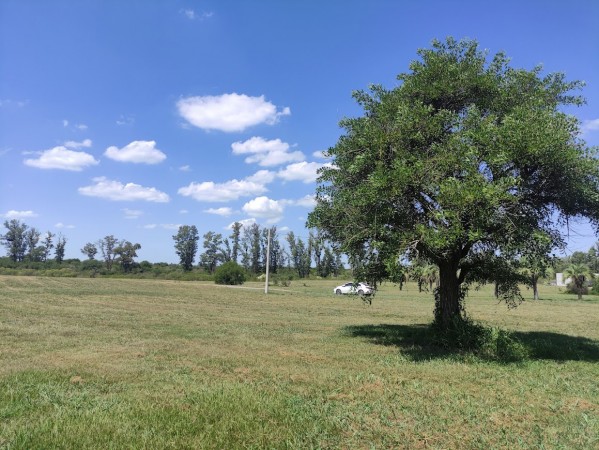 TERRENO EN SOLARES NORTE A 125 METROS DEL RIO CARCARAÑA