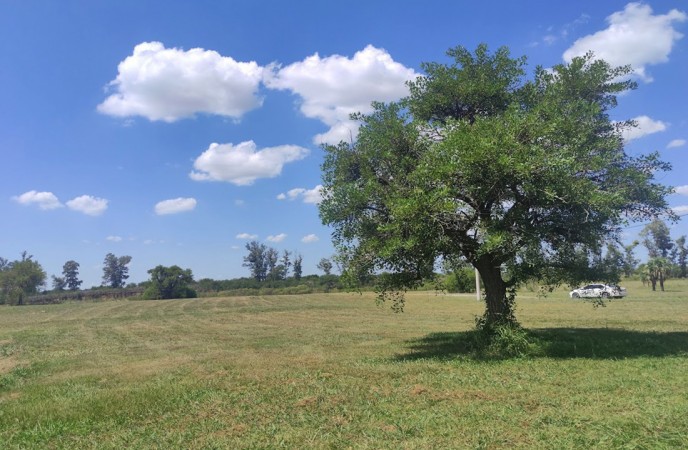 TERRENO EN SOLARES NORTE A 125 METROS DEL RIO CARCARAÑA