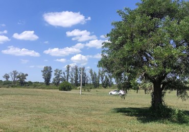 TERRENO EN SOLARES NORTE A 125 METROS DEL RIO CARCARAÑA